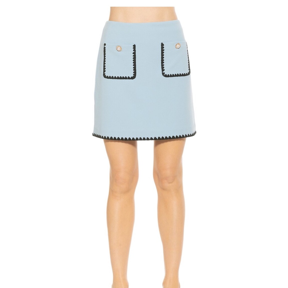 Alexia Admore Sunday Skirt - Size 8